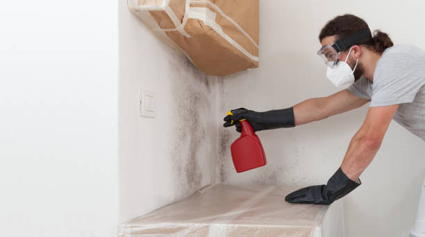Professional Mold Testing technician working in Lincoln, MA